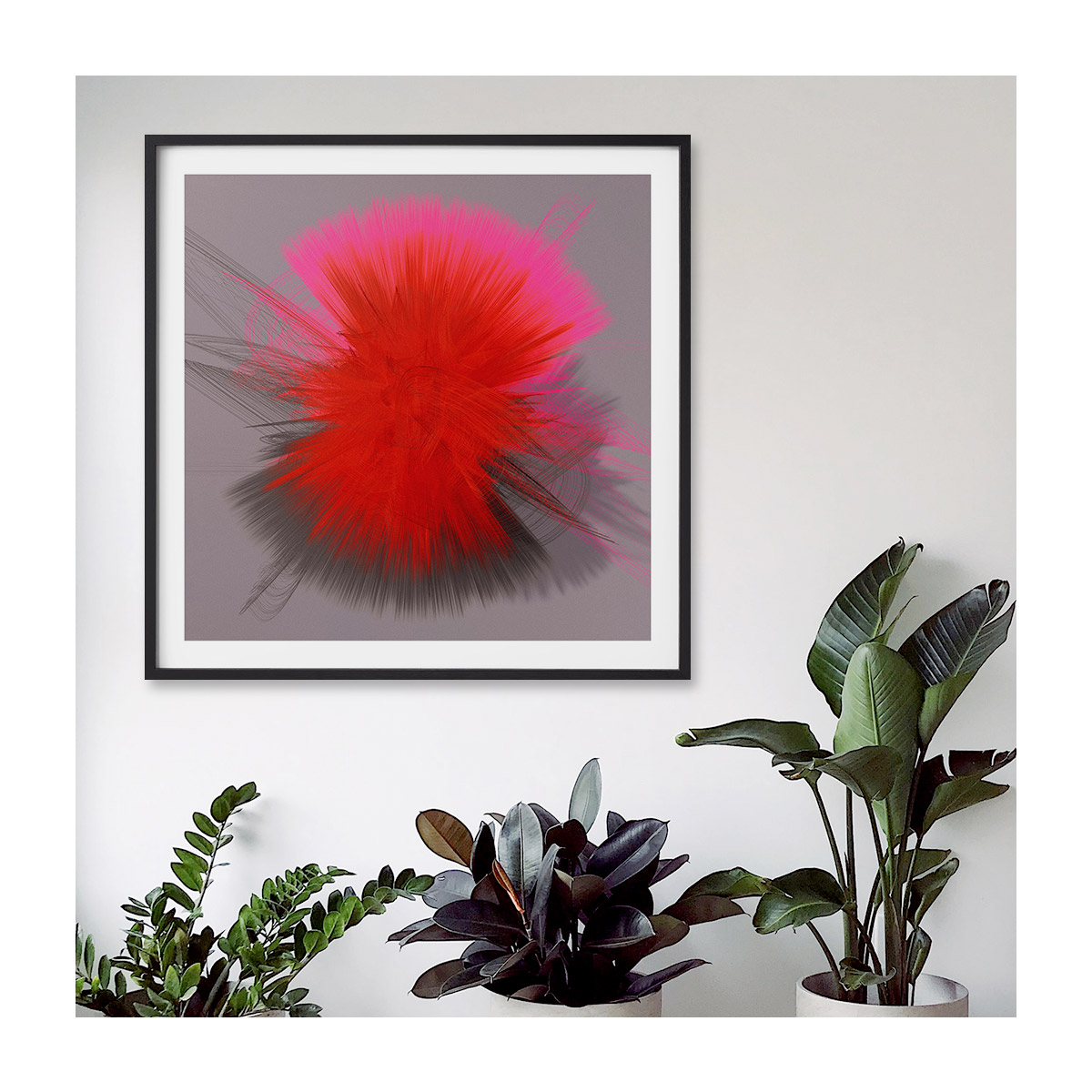 insitu-large-black-border