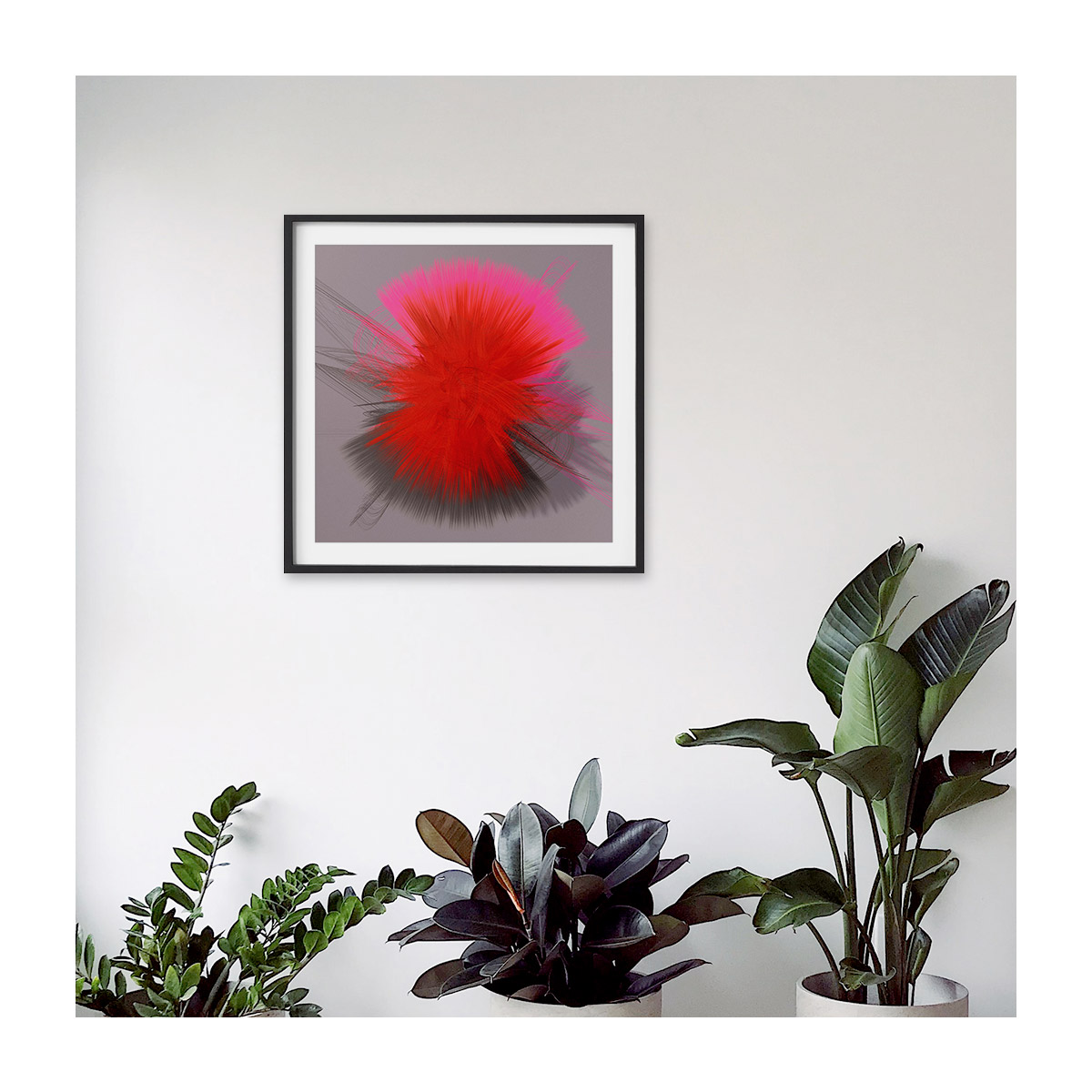insitu-medium-black-border