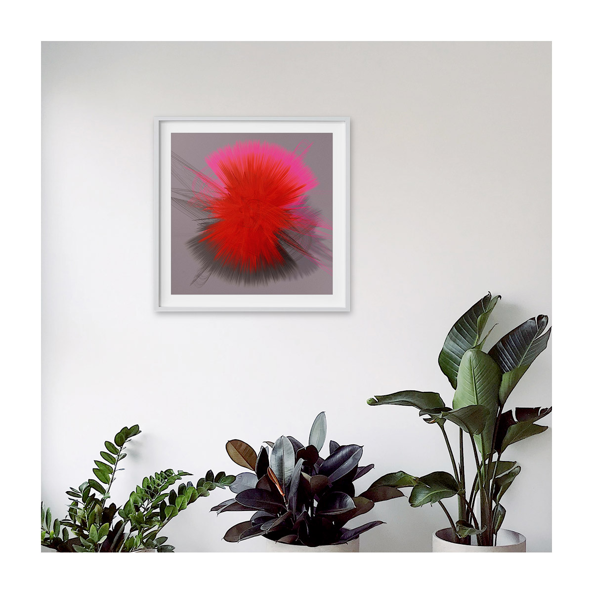 insitu-medium-white-border