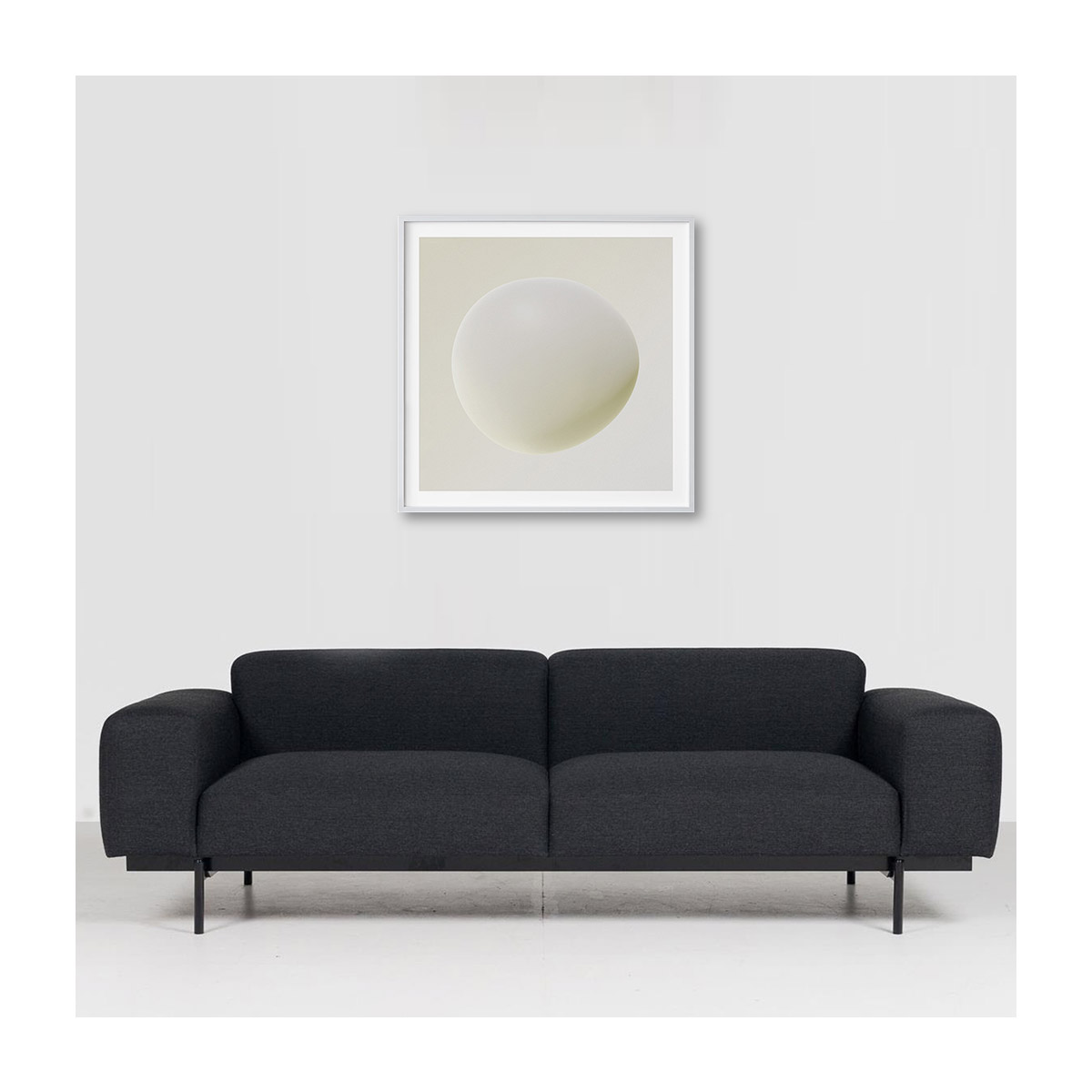 insitu-large-white-border