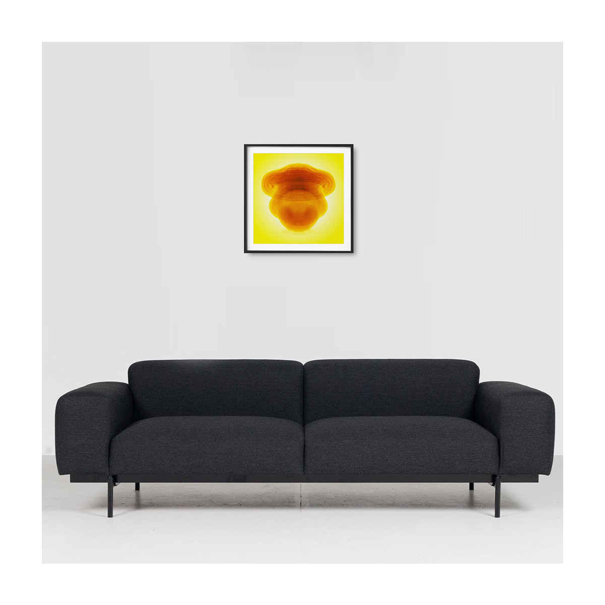 insitu-medium-black-border