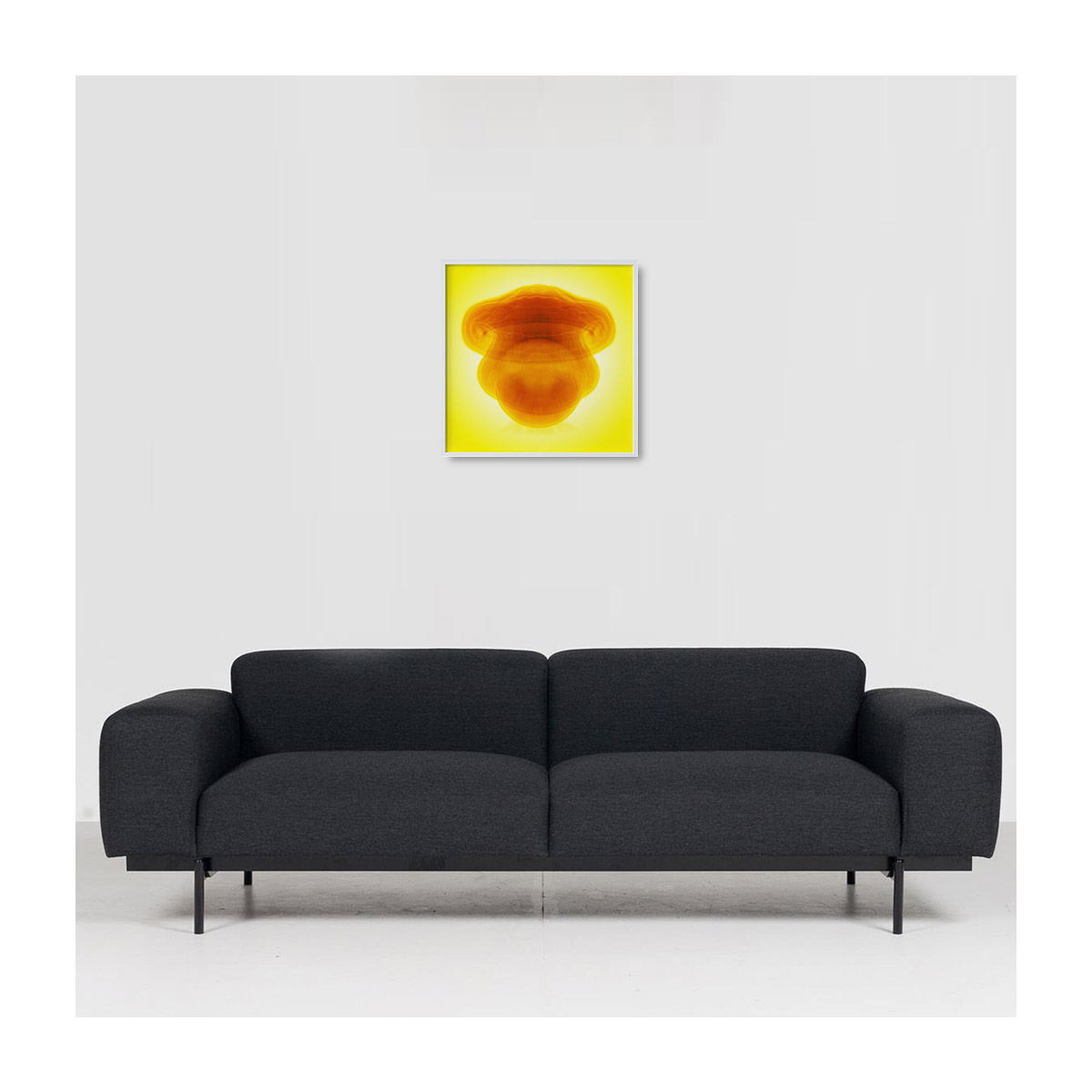 insitu-medium-white-noborder