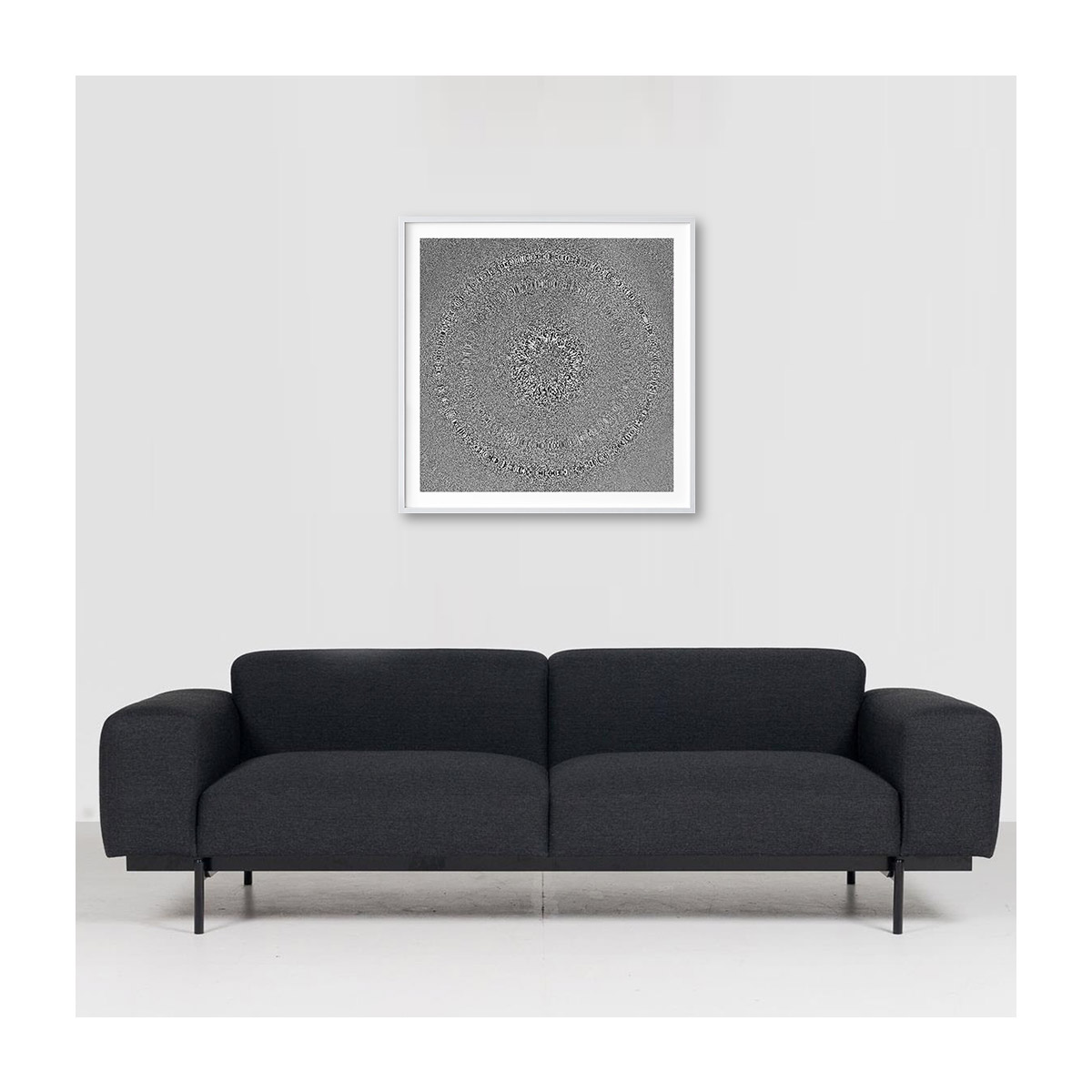 insitu-large-white-border