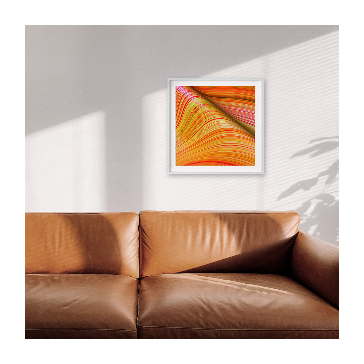 insitu-medium-white-border